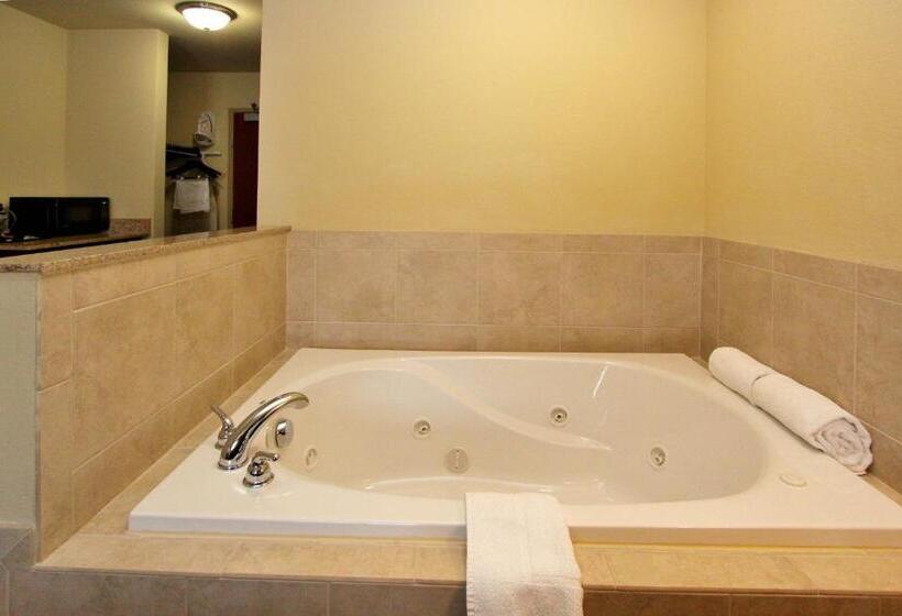 스탠다드 룸 킹사이즈 침대, Cobblestone Inn & Suites  Fremont