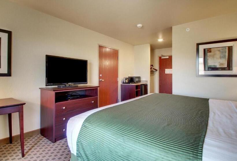 带大床的标准间, Cobblestone Hotel & Suites   Salem