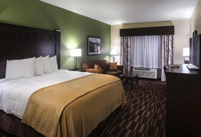 חדר סטנדרט עם מיטת קינג, Comfort Inn & Suites
