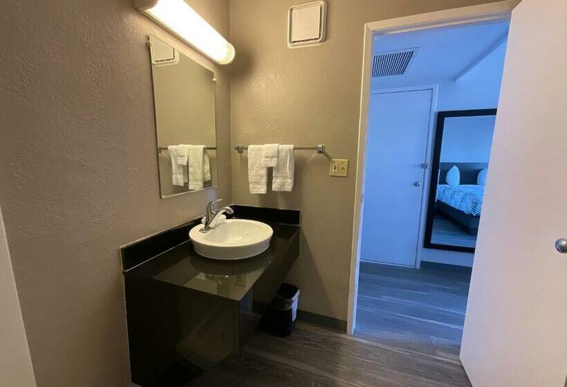 带大床的标准间, Motel 6ely, Nv