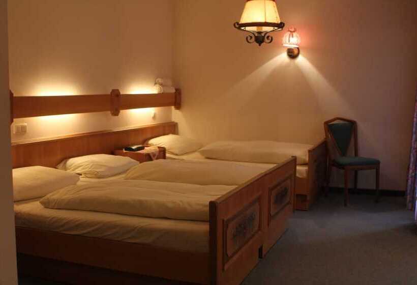 标准间, Pohl S Rheinhotel Adler