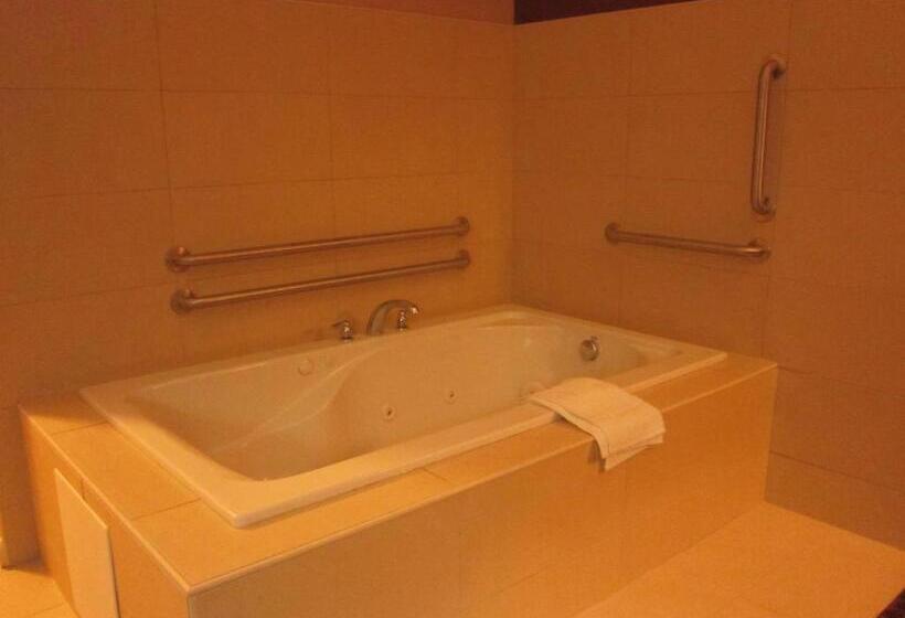 스탠다드 룸 킹사이즈 침대, Red Carpet Inn And Suites Monmouth Junction