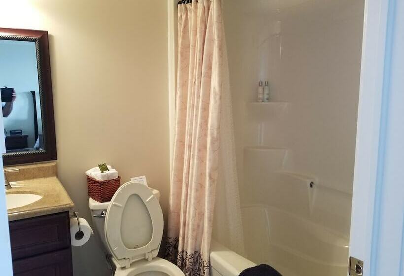 标准间带双人床, Riverview B&b