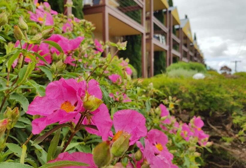 침실 2개 아파트, Seaview Motel & Apartments