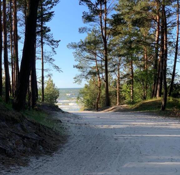 Апартаменты 1 Спальня Нижний Этаж, Apartament Jantarowe Zacisze Green