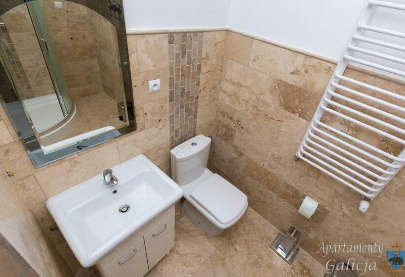 Апартаменты 1 Спальня Нижний Этаж, Apartamenty Galicja