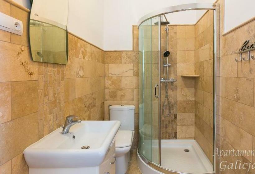 Апартаменты 1 Спальня Нижний Этаж, Apartamenty Galicja