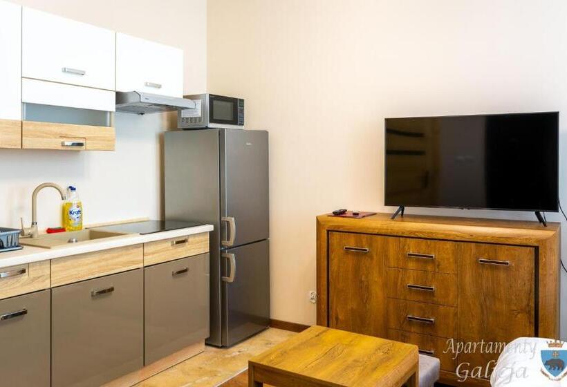 Апартаменты 1 Спальня Нижний Этаж, Apartamenty Galicja