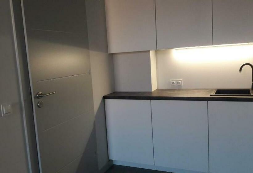 Апартаменты Deluxe 1 Спальня, Przystanek Katowice Mariacka 26