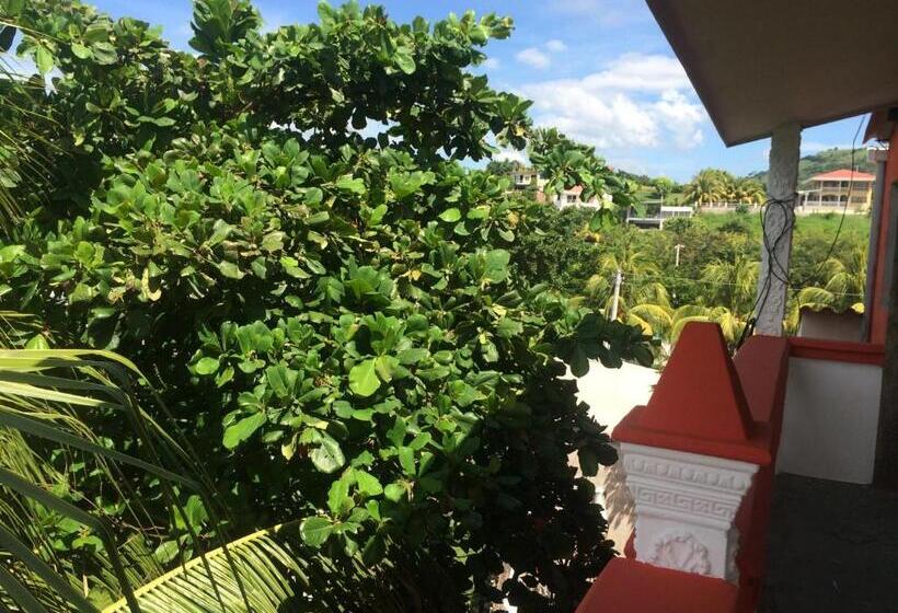 اتاق استاندارد با تخت بزرگ, Sabas Beach Resort