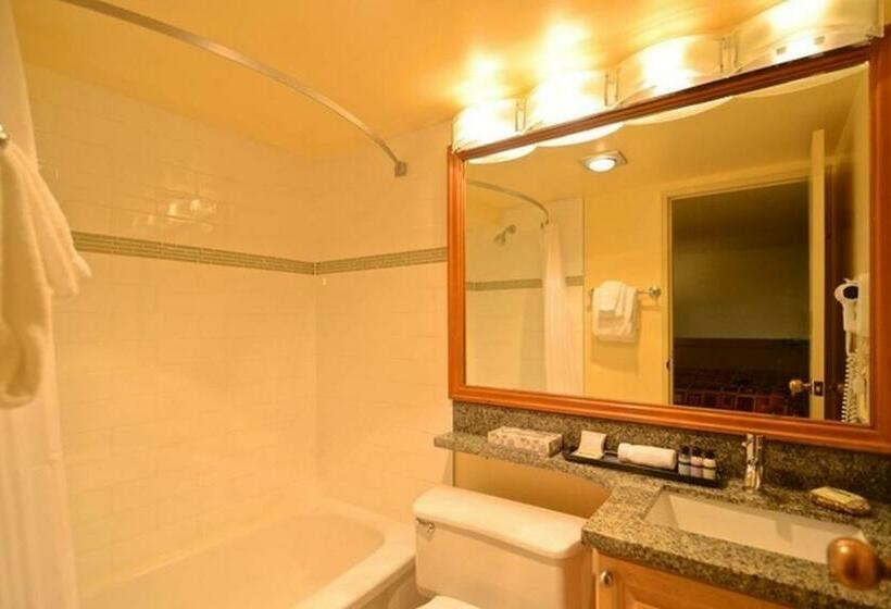 Студия Стандарт, Mountain Side Hotel Whistler By Executive