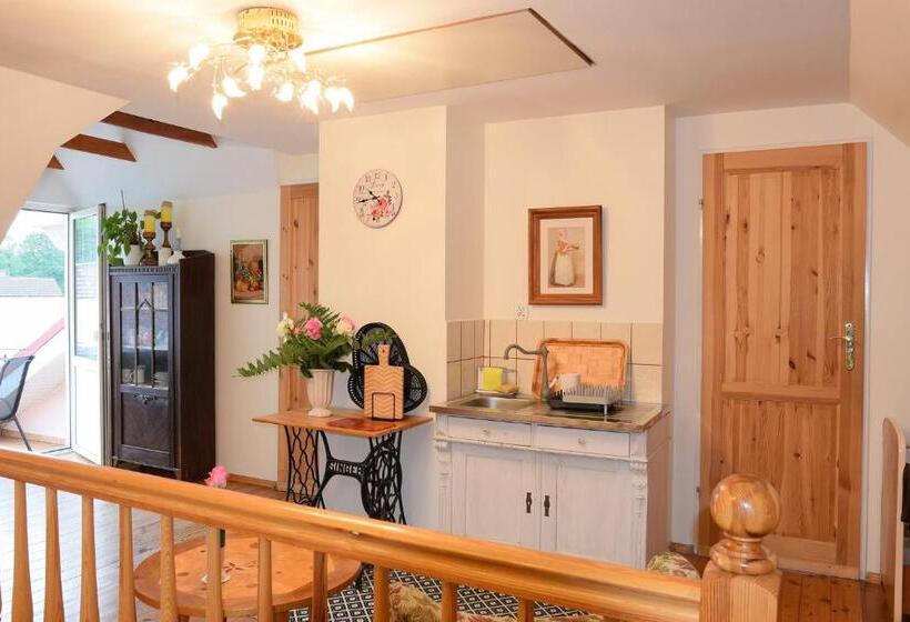 Студия Стандарт, Guest House Wiejska Sielanka