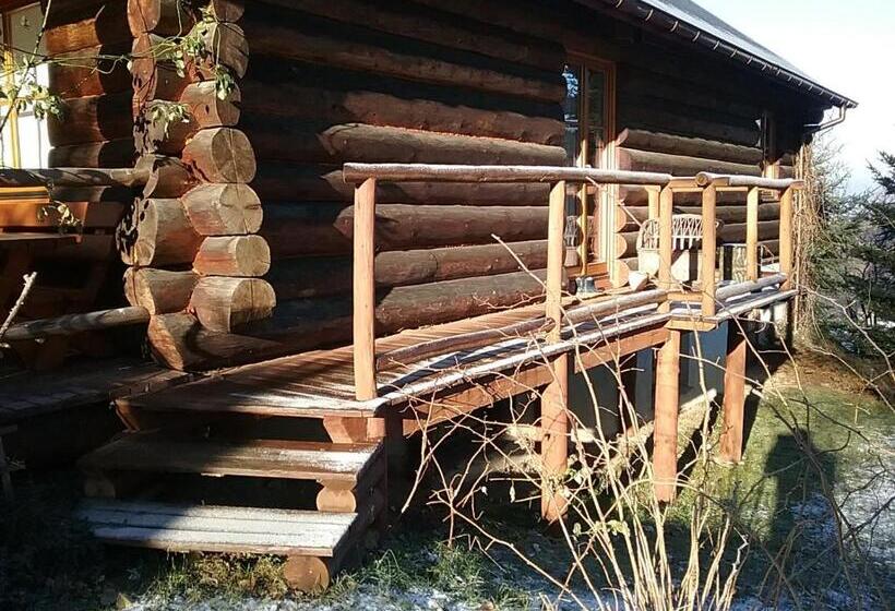 Номер Стандарт с Террасой, Amigówka