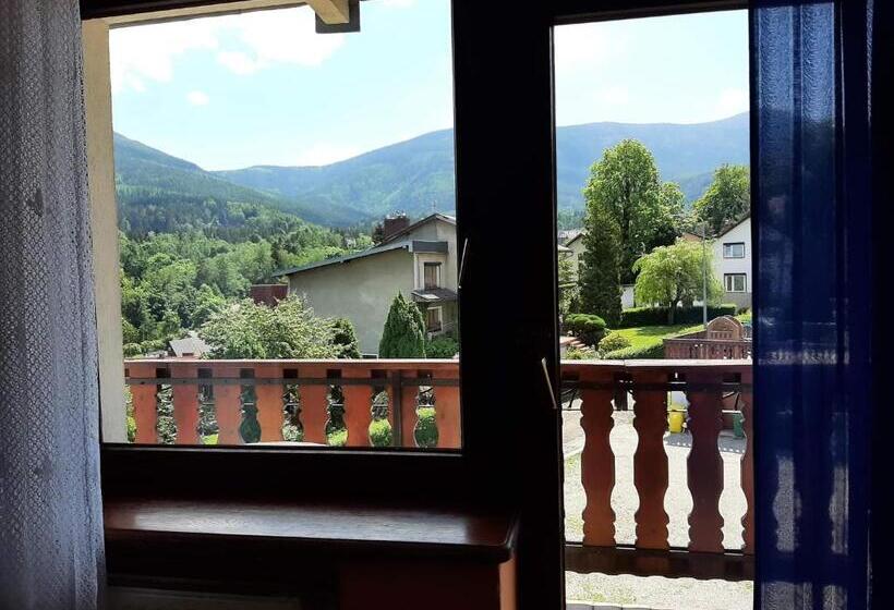 Номер Стандарт, Usługi Hotelarskie Karpacz