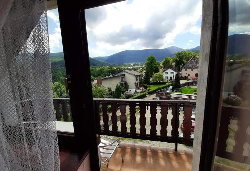 Номер Basic, Usługi Hotelarskie Karpacz
