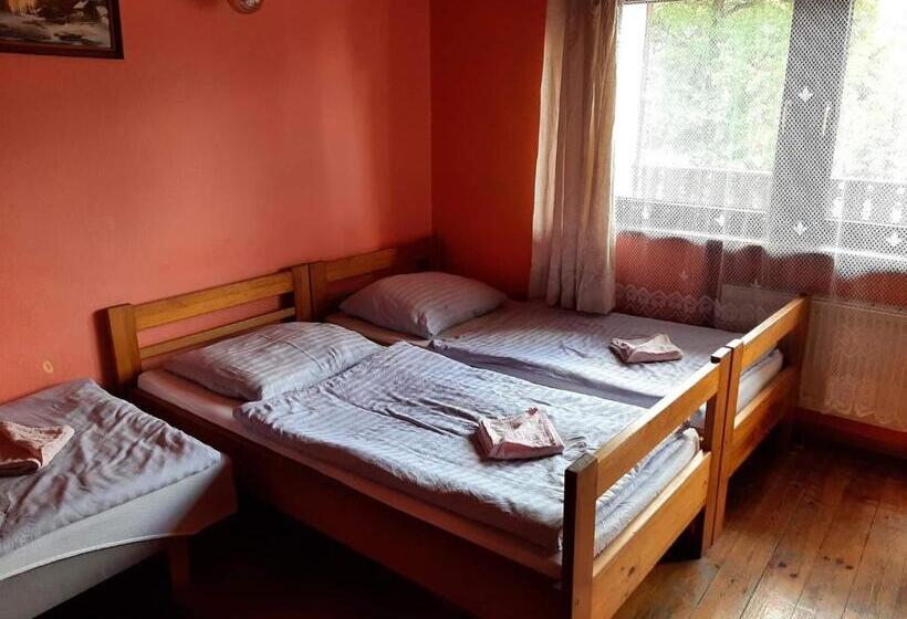 Номер Стандарт Трехместный, Usługi Hotelarskie Karpacz