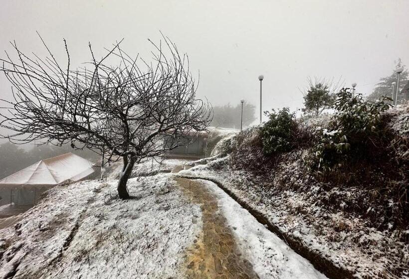 标准间带山景, Instaview Kanatal
