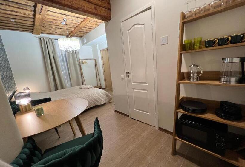 اتاق لوکس با تخت بزرگ, Karlova Manor Apartments