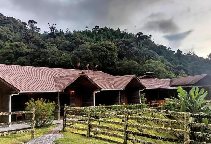 스탠다드 룸, Tree Trek Boquete Adventure Park
