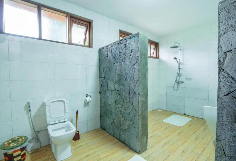 اتاق لوکس با بالکن, Gorilla Leisure Lodge