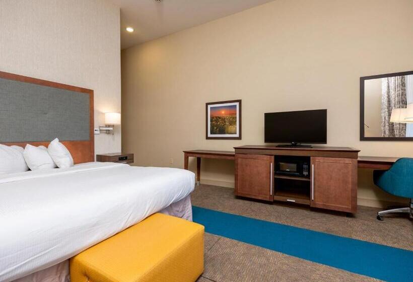 장애인을 위한 킹사이즈 침대 스탠다드 룸, Flag Point Inn And Suites Pratt By Fairbridge