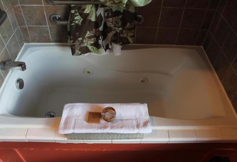 Семейный Номер Deluxe, Iowa House Historic Inn