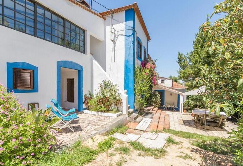 Семейный Номер, Quinta De São Pedro