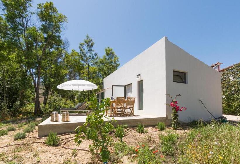 Студия Стандарт, Quinta De São Pedro