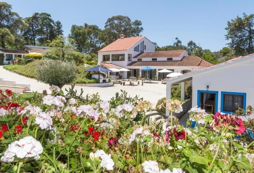 Дом 1 Спальня, Quinta De São Pedro