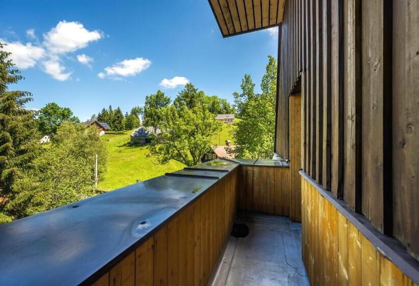 Номер Стандарт, Horský Hotel Jelínek