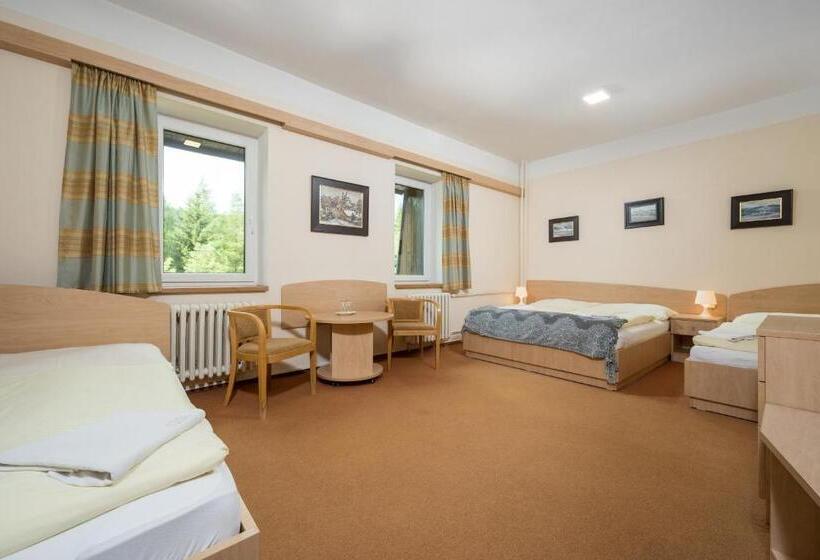 Четырехместный Номер Стандарт, Horský Hotel Jelínek