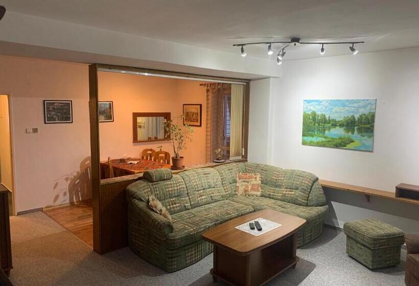 Апартаменты 1 Спальня с Балконом, Horský Hotel Jelínek