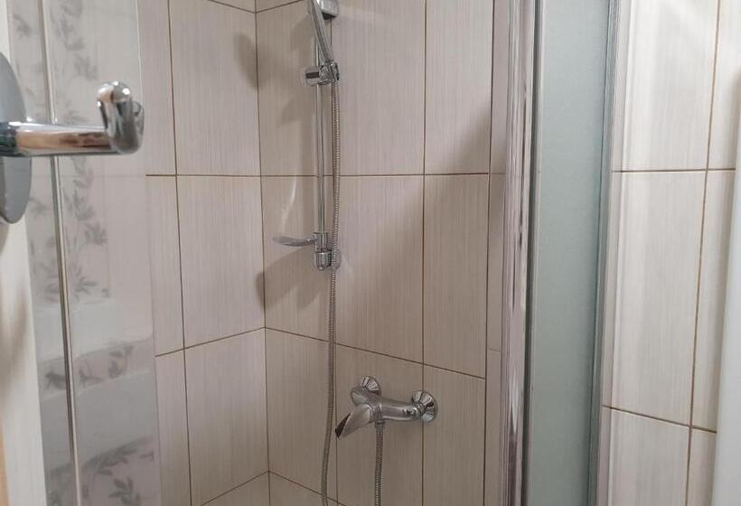 家庭间, Pension Zelený Strom