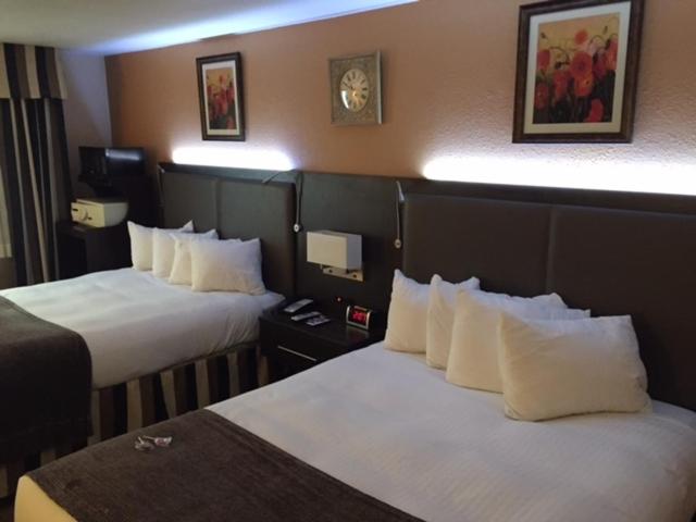 Номер Стандарт, Prospector Hotel & Casino