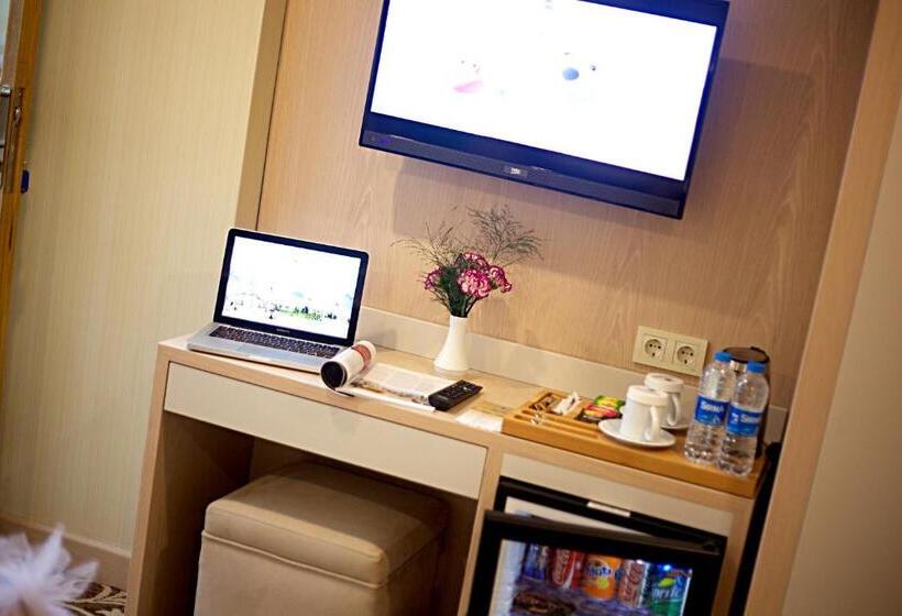 اتاق استاندارد یک نفره, Alpinn Hotel Istanbul