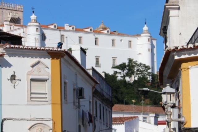 Номер Стандарт, Residencial Miguel José