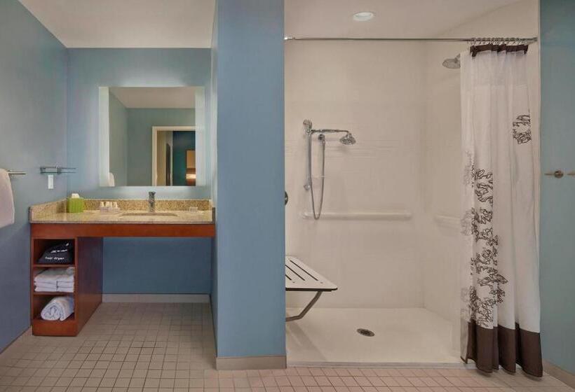 سوئیت با تخت بزرگ, Residence Inn By Marriott Orlando Downtown