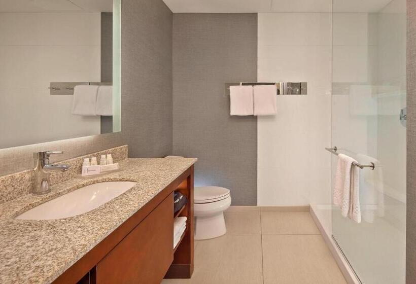 استودیو استاندارد با تخت کینگ, Residence Inn By Marriott Orlando Downtown