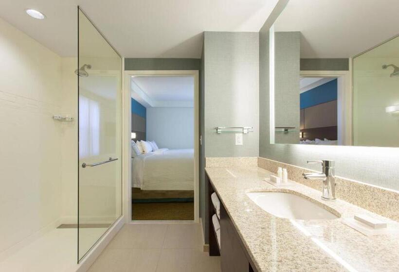 سوئیت 2 خوابه, Residence Inn By Marriott Orlando Downtown