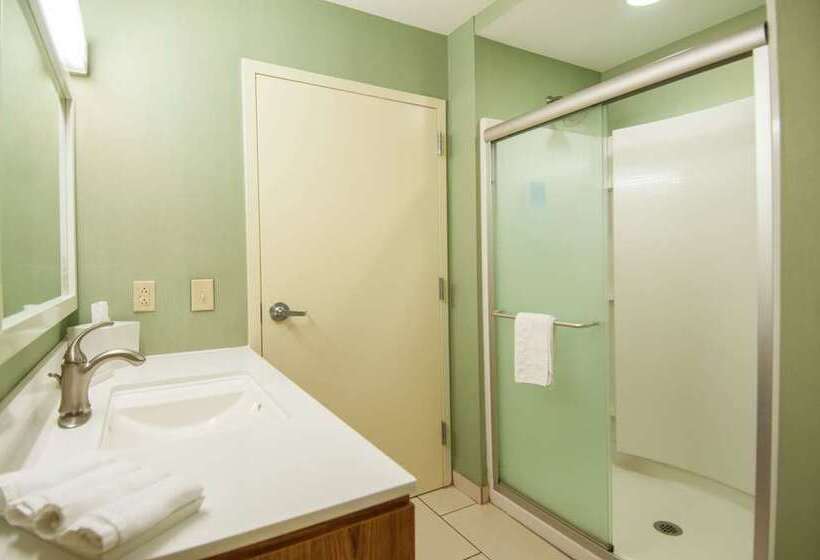 Студия Премиум, Home2 Suites By Hilton San Angelo