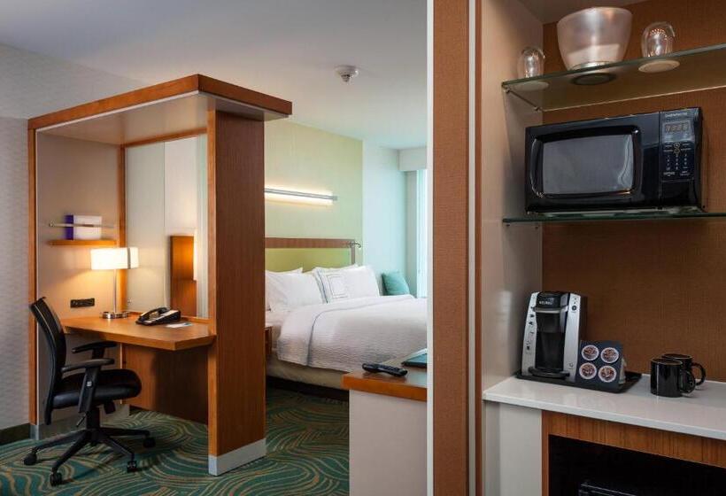 Студио Стандарт Кровать Кинг, Springhill Suites By Marriott Kennewick Tri Cities