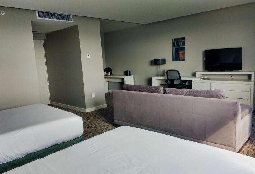 ２ベッドスイートルーム, Holiday Inn Express Pachuca, An Ihg