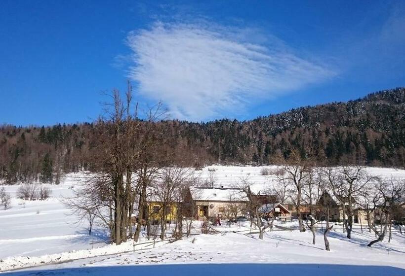 آپارتمان 1 خوابه با چشم‌انداز, Apartment Vrtacnik
