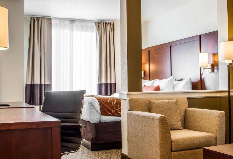 带大床的套房, Comfort Suites Woodland  Sacramento Airport