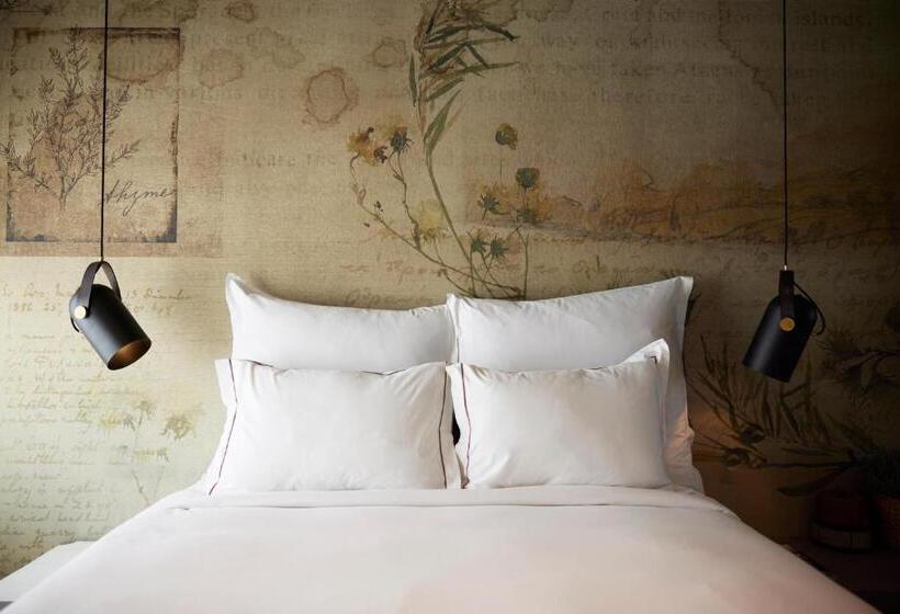 스탠다드 스튜디오, Anise, Aluma Hotels & Resorts
