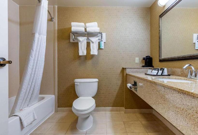 Стандартный Номер Кровать Кинг, Comfort Inn Warner Robins   Robins Air Force Base Area