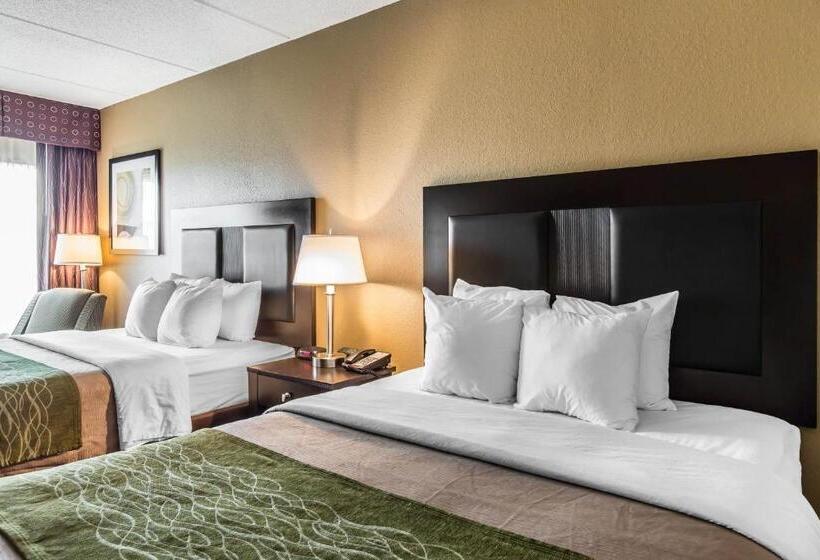 Номер Стандарт, Comfort Inn Warner Robins   Robins Air Force Base Area