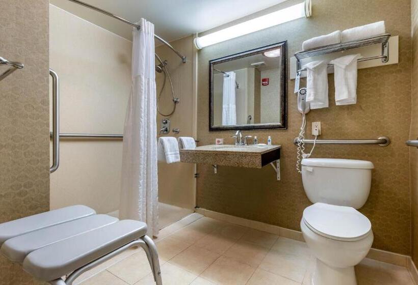 Номер Стандарт Кровать Кинг Адаптированный для Инвалидов, Comfort Inn Warner Robins   Robins Air Force Base Area