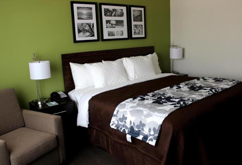 חדר סטנדרט עם מיטת קינג, Sleep Inn & Suites
