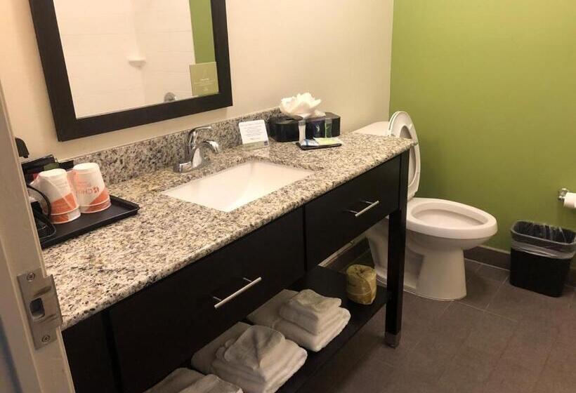 מיטת קינג בסוויטה, Sleep Inn & Suites